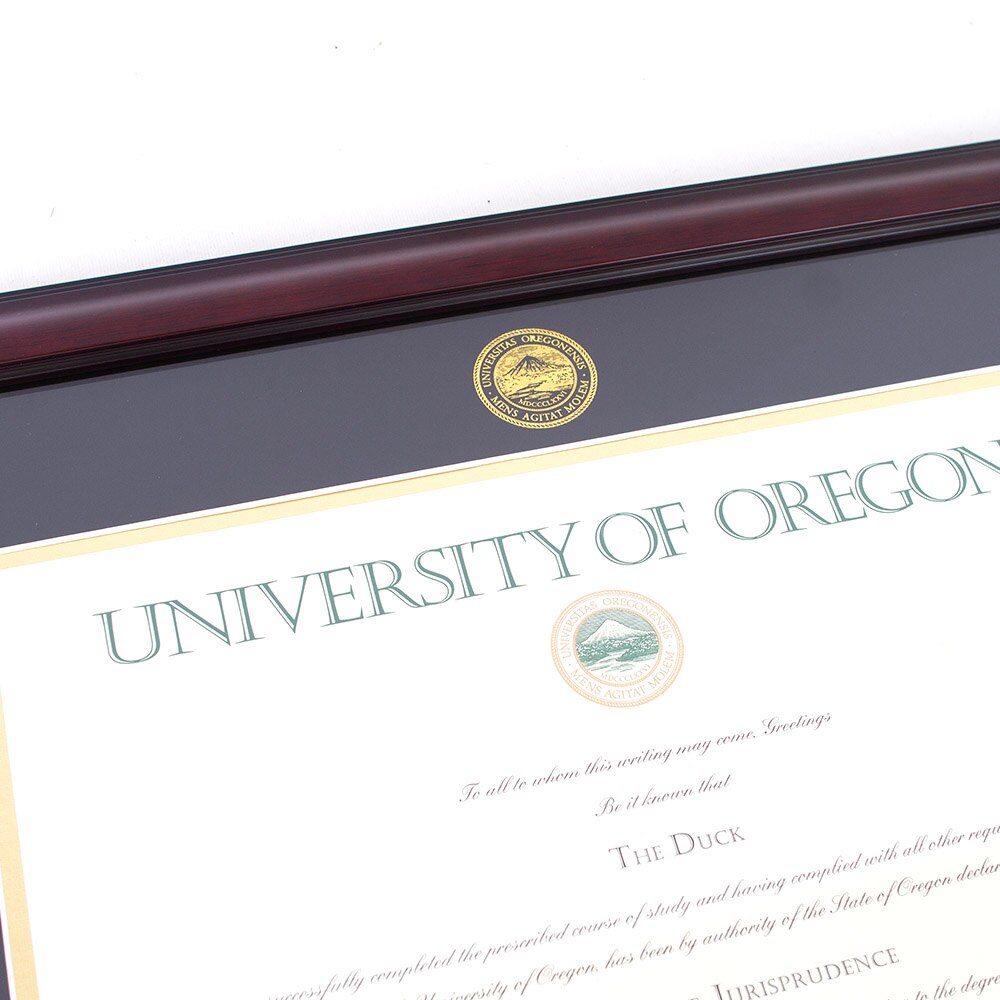 Oregon Seal, Josten's, Brown, Frames & Albums, Grad, 11"x14", Diploma Frame, Law, Gold Foil, Seal, 909484
